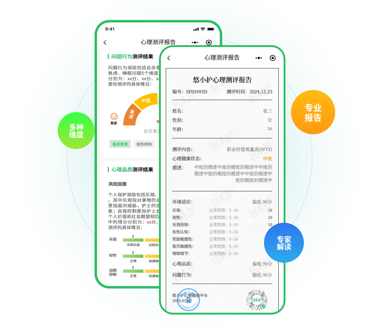 个体报告